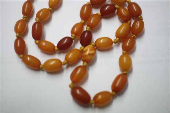 A single strand graduated oval amber bead necklace, 50cm.